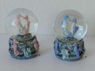 Obrázek z Sněžítko 9cm - mořský koník (12) 